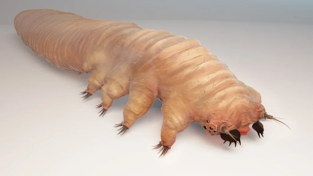 Microscopic Creatures Eating Your Skin