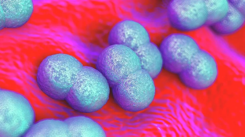Microscopic Creatures Eating Your Skin