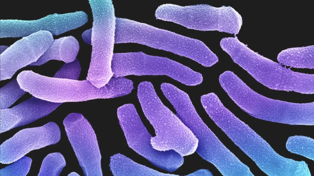 Microscopic Creatures Eating Your Skin