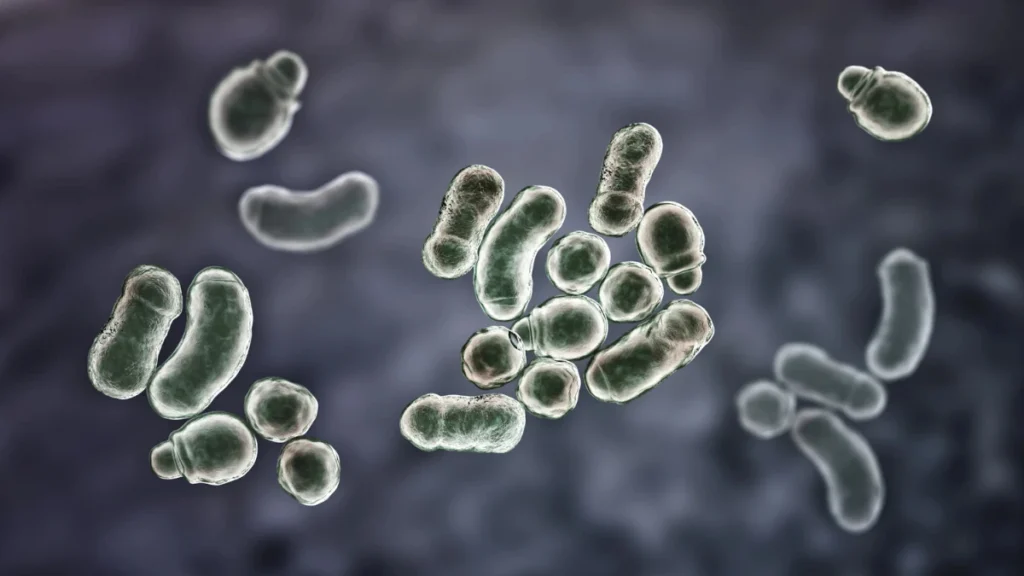 Microscopic Creatures Eating Your Skin