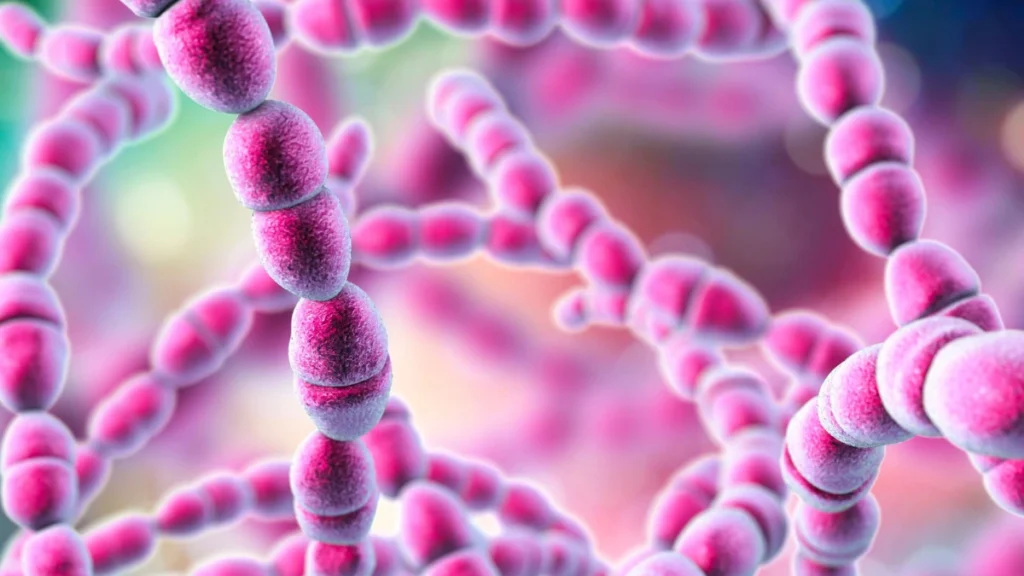 Microscopic Creatures Eating Your Skin