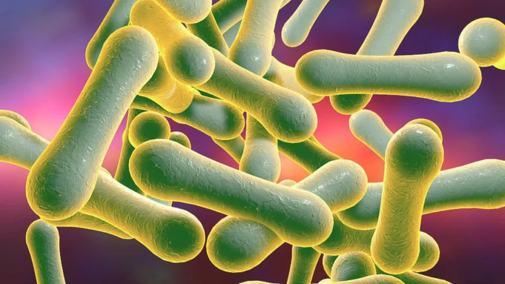 Microscopic Creatures Eating Your Skin